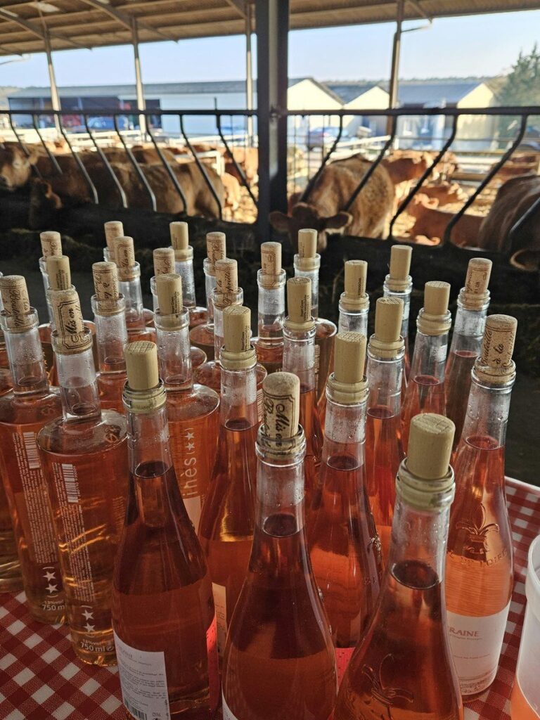 Bouteilles de rosé sur une table à carreaux