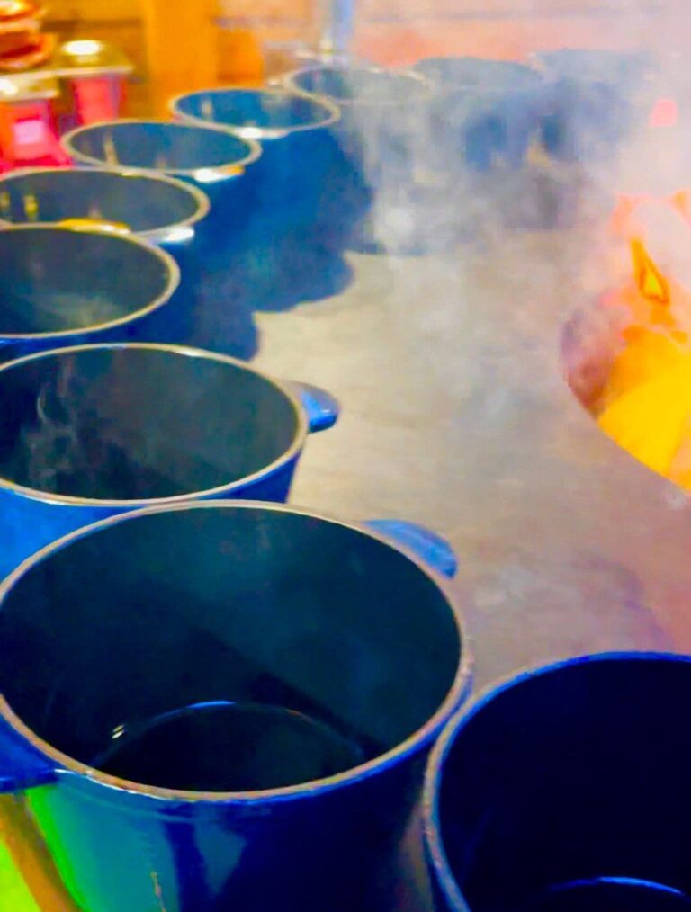 Cocottes en fonte bleues alignées sur la plancha, flammes du foyer à droite
